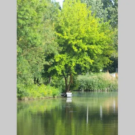 Aniel Meublé Au Coeur Du Marais Poitevin Maille (Vendee)